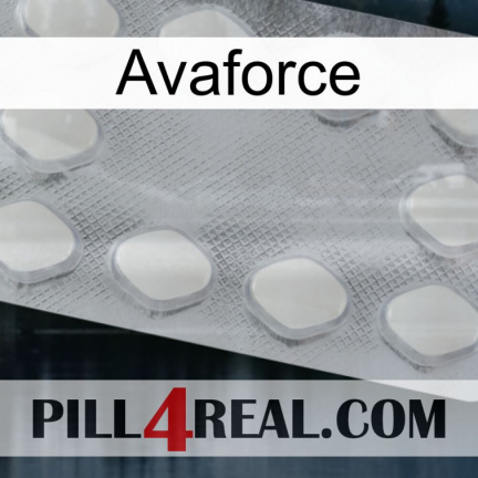 Avaforce 16